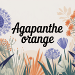 agapanthe orange et fleurs variées dans un jardin lumineux