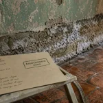 Assèchement des murs : mur humide avec salpêtre et traces d’humidité