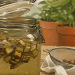 Engrais banane : peau de banane en macération 48-72 h dans bocal d’eau