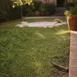 Herbe ou gazon : bordure de pelouse et désherbeur, jardin au naturel